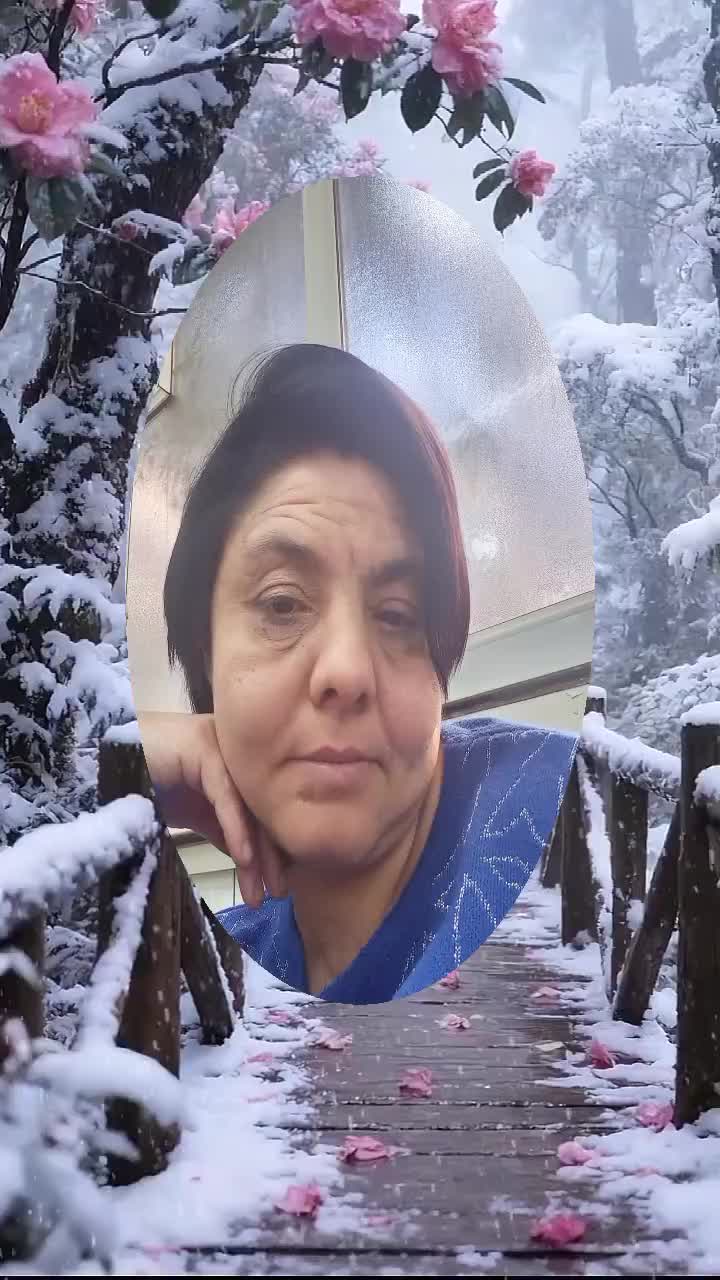 @Sevda Celik