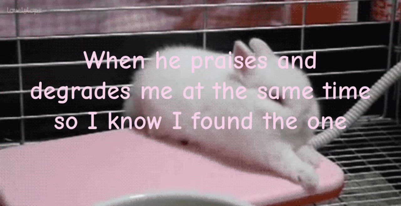 @🐾