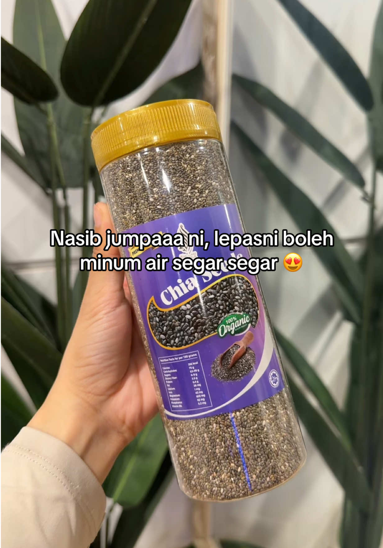 @Ayla Alia 💚