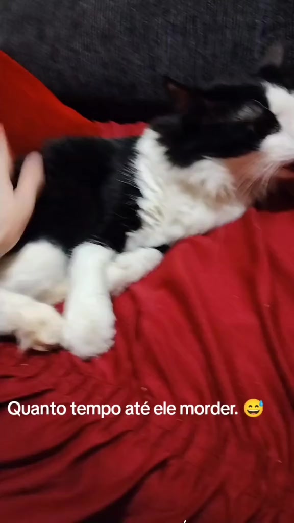 @Daiararn