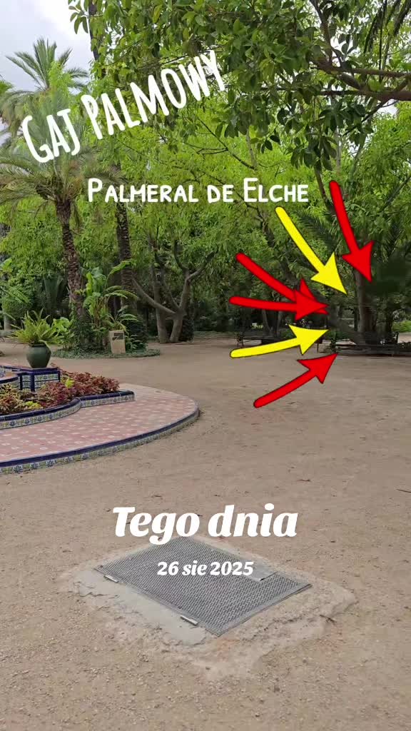 @mariuszmwm