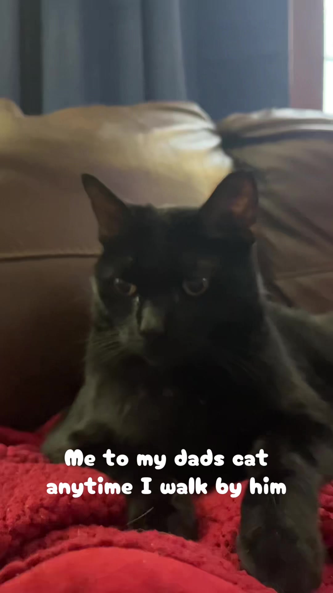 @ʟᴇᴏ ♈️🍝