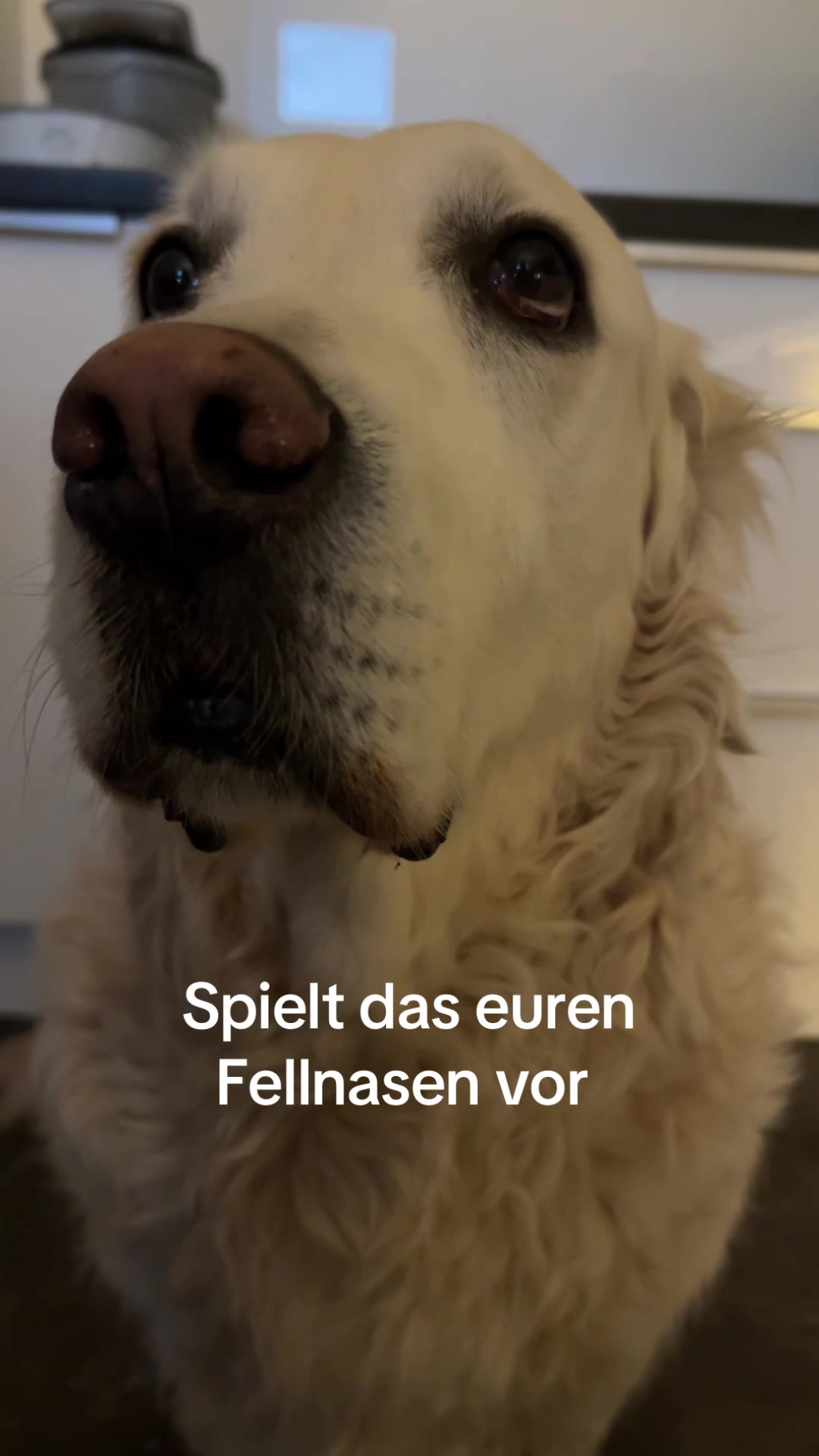 @Milow ❤️