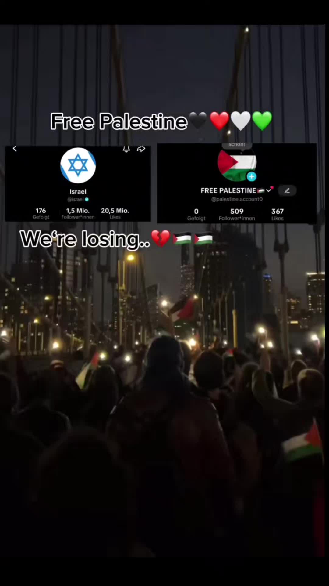 @Free Palestine 🇵🇸✊️