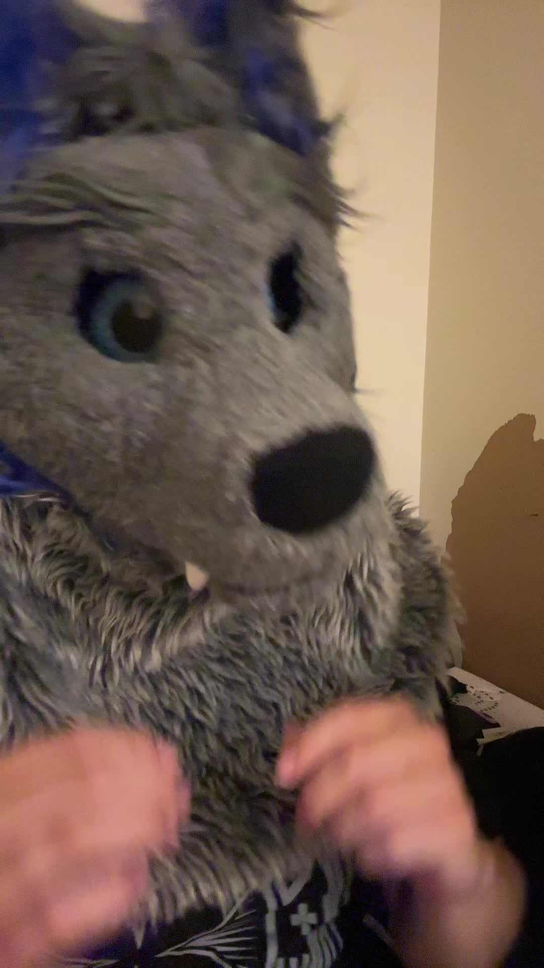 @ph0toshoot