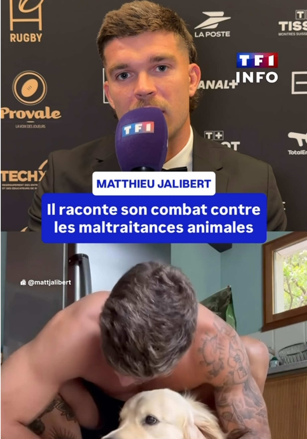 @TF1 INFO