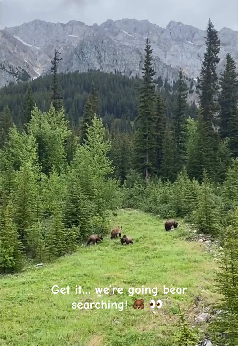 @I&rsquo;m Into Hiking 🇨🇦