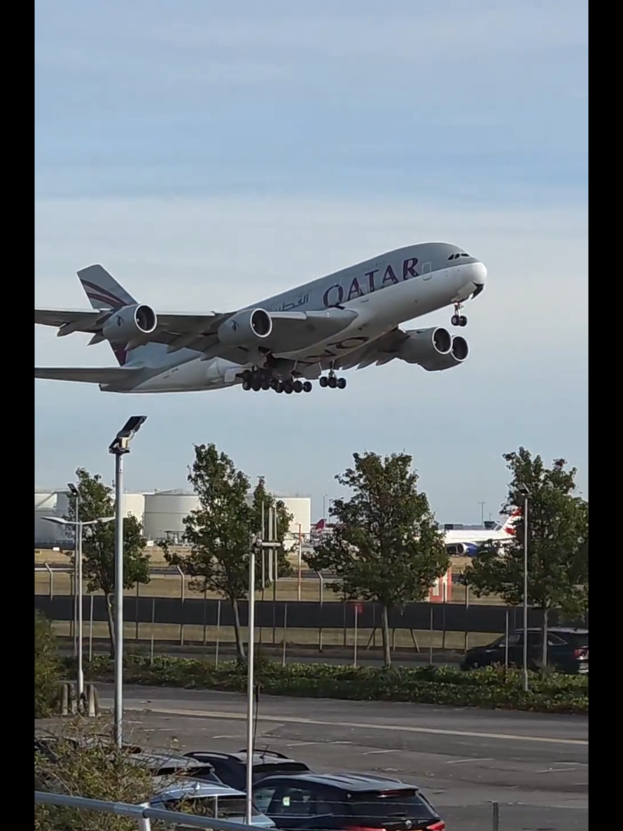 @Aviation Dan