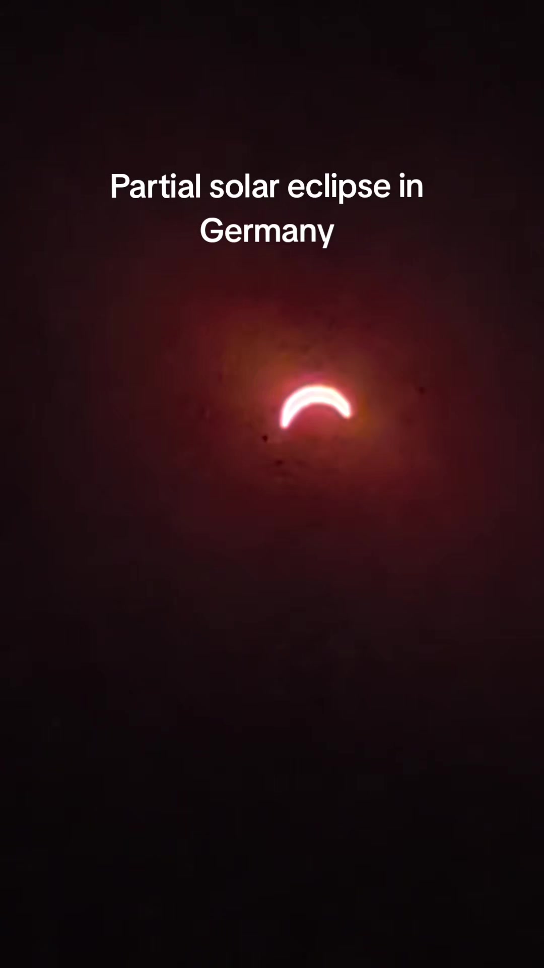 @Scharlie Körk 𓌏▌ᛉ