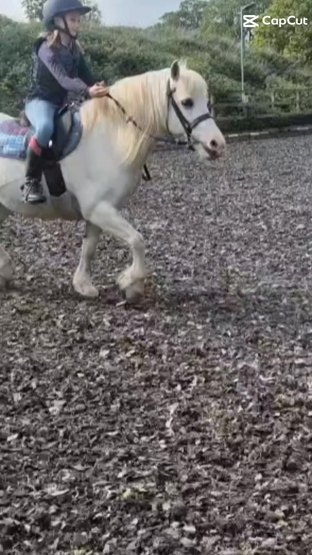@🐎🩷Alexa and bobby 🩷🐴
