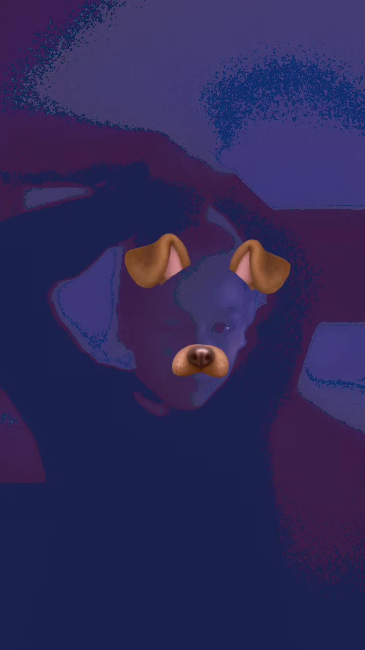 @zoeyzo