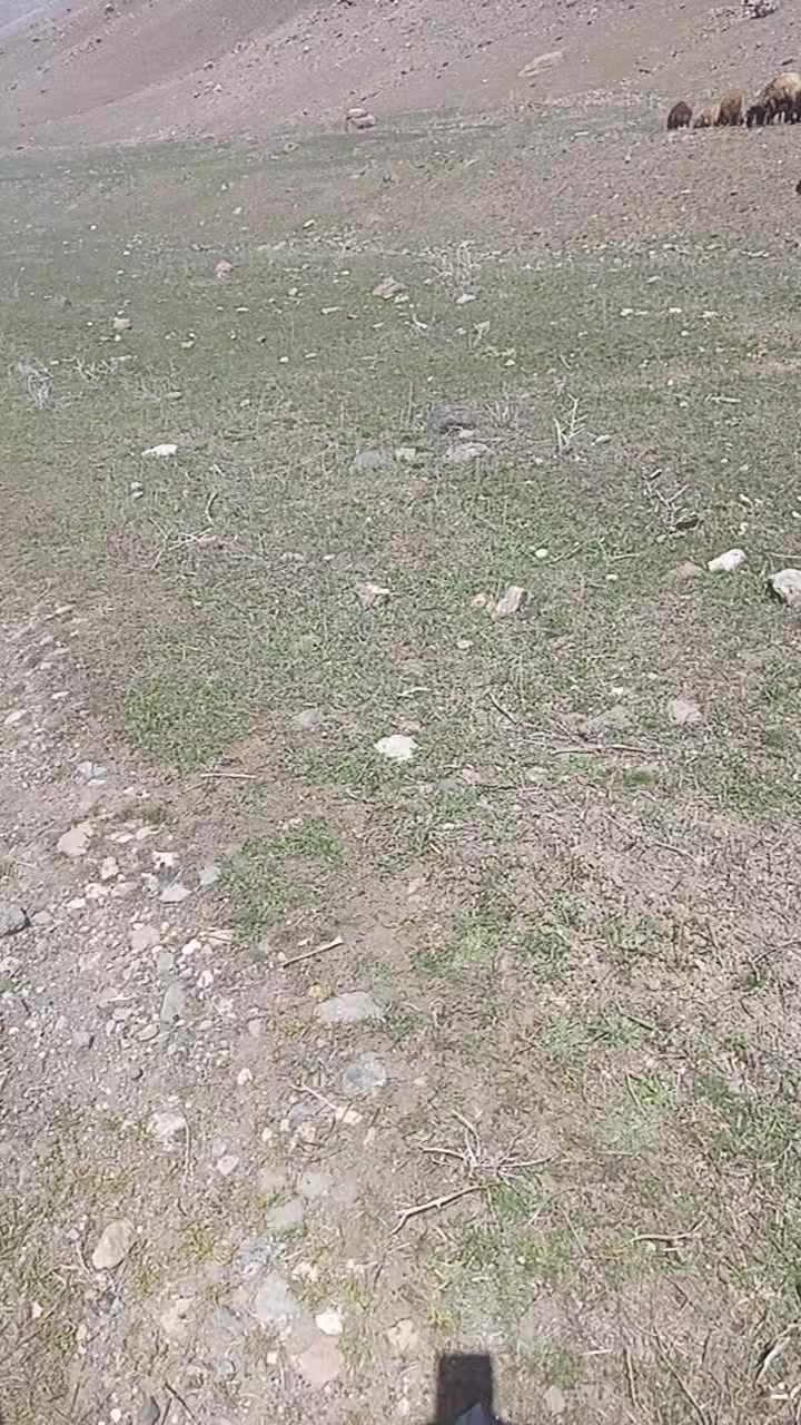 @sezer aydın