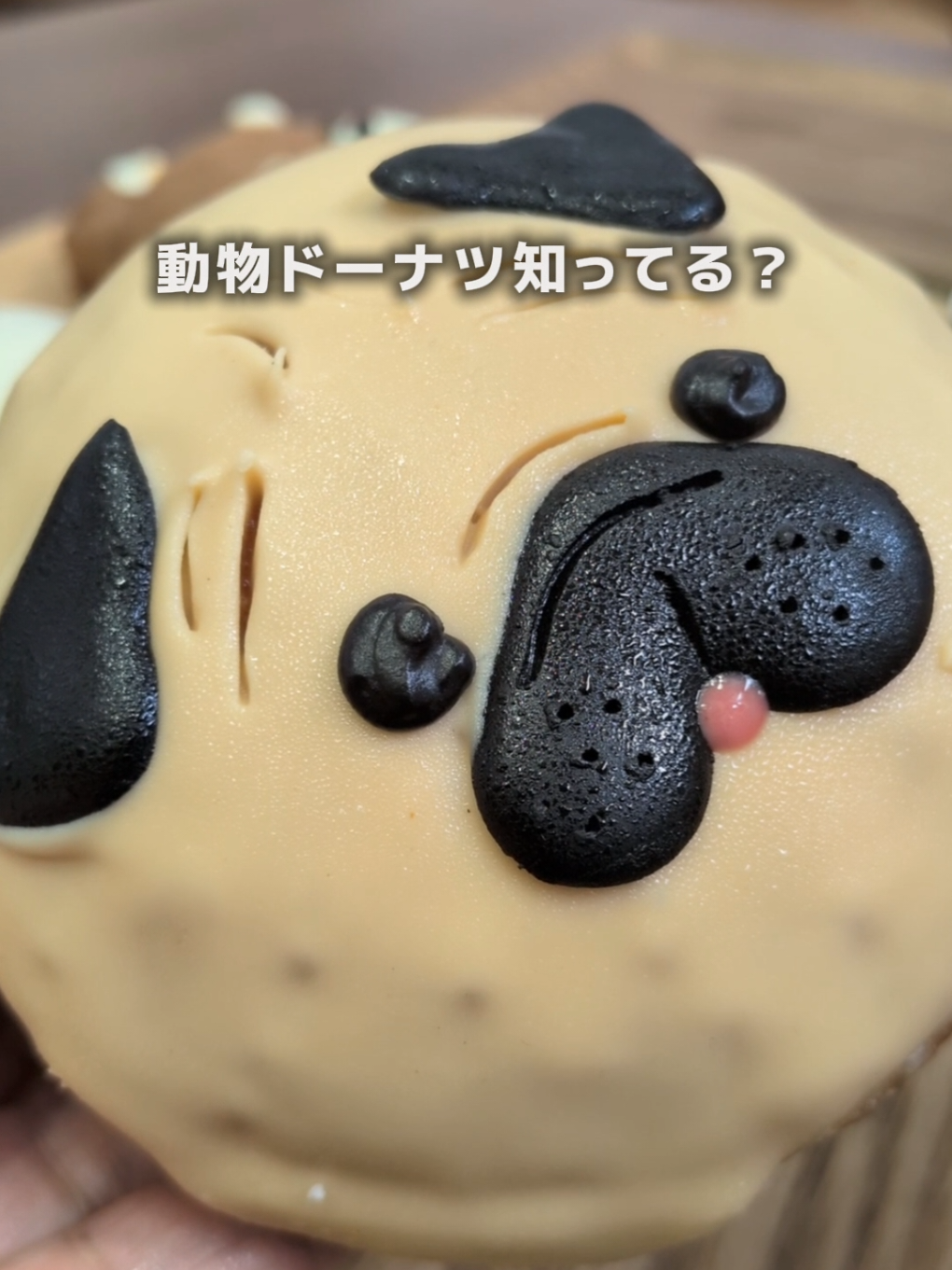 @かりえ│栃木グルメ・茨城グルメ・おでかけ