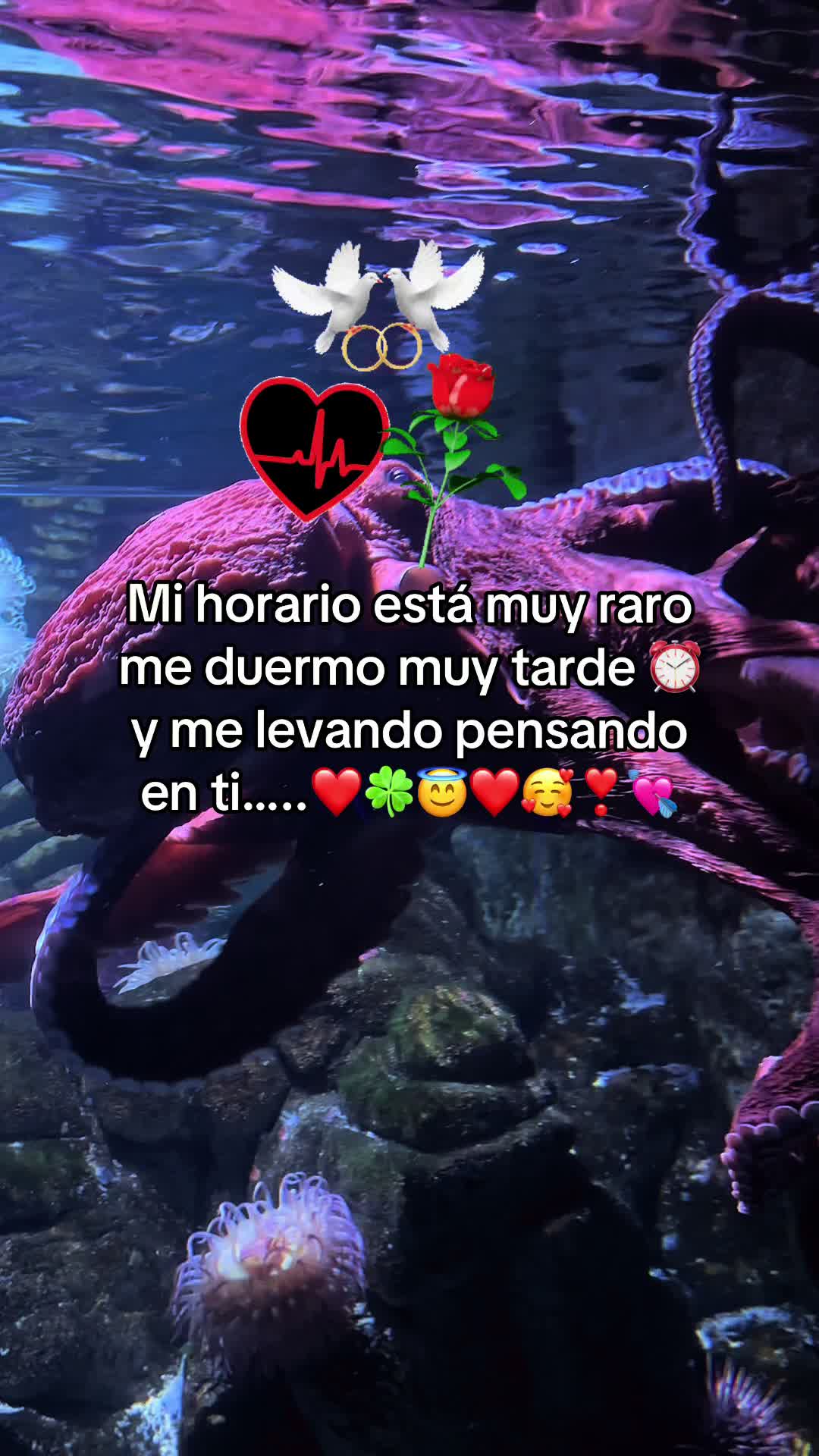 @🇲🇽Un poblano en ny 🇺🇸🗽☘️
