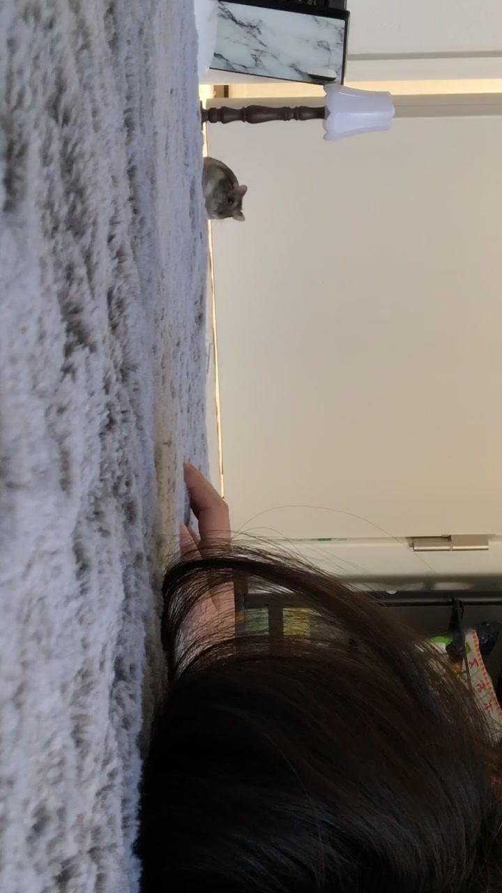 @mia 🐉