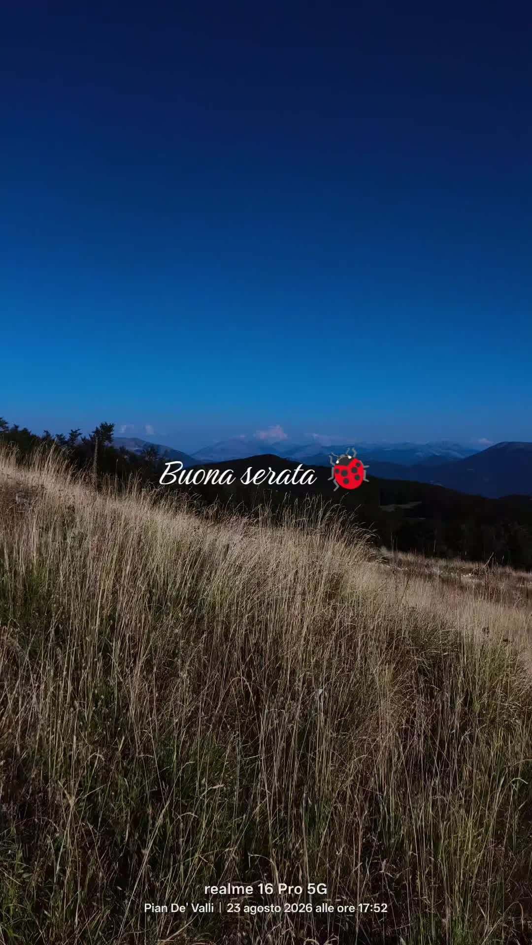 @Pidocrea🐞