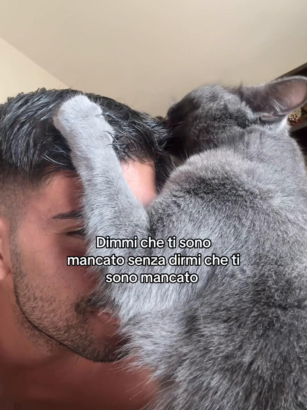 @samuelliburdi5