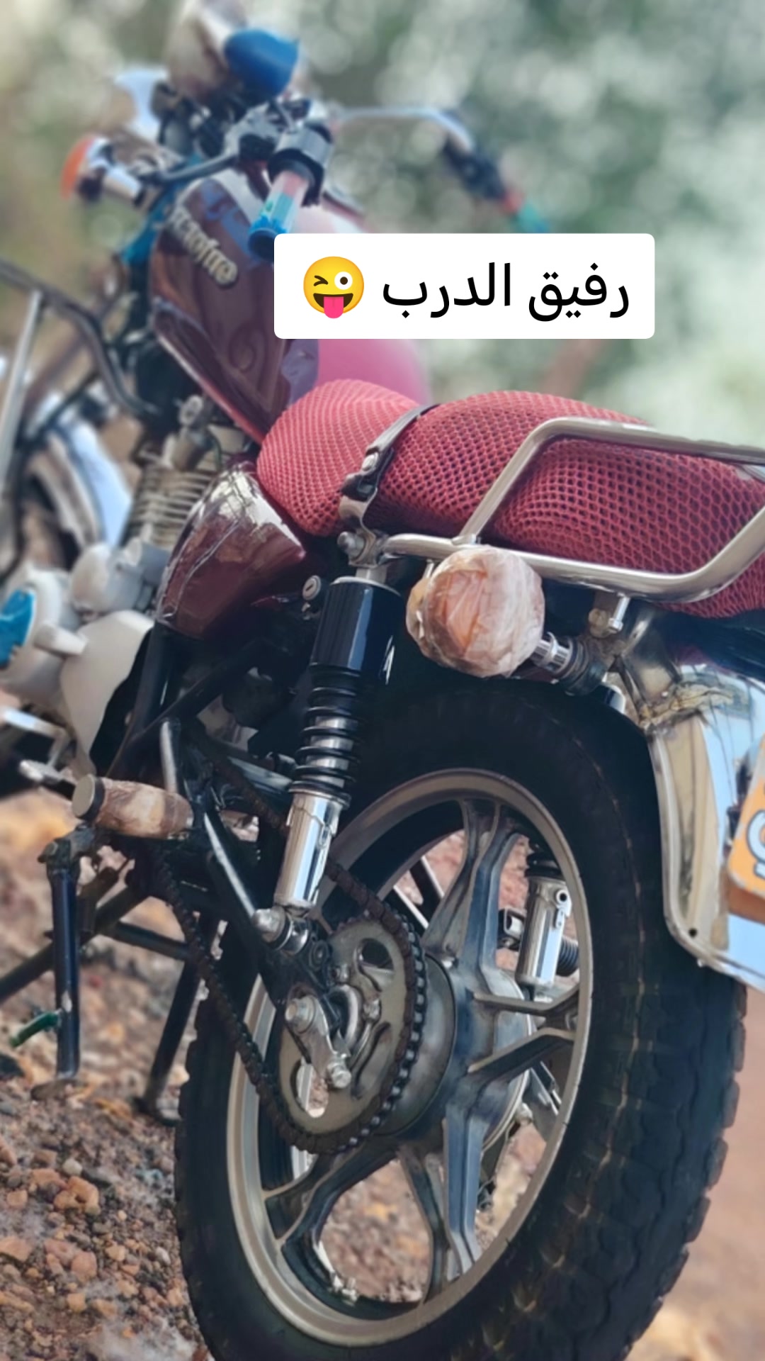 @༺👑༻ زَكِـي