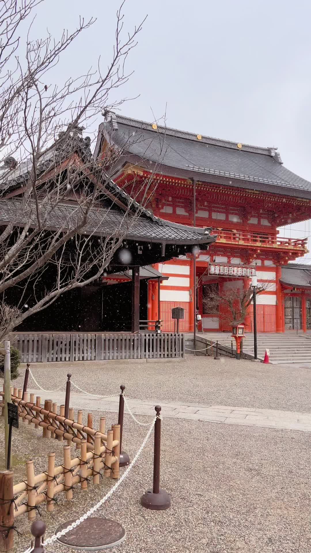 @bummie.travels