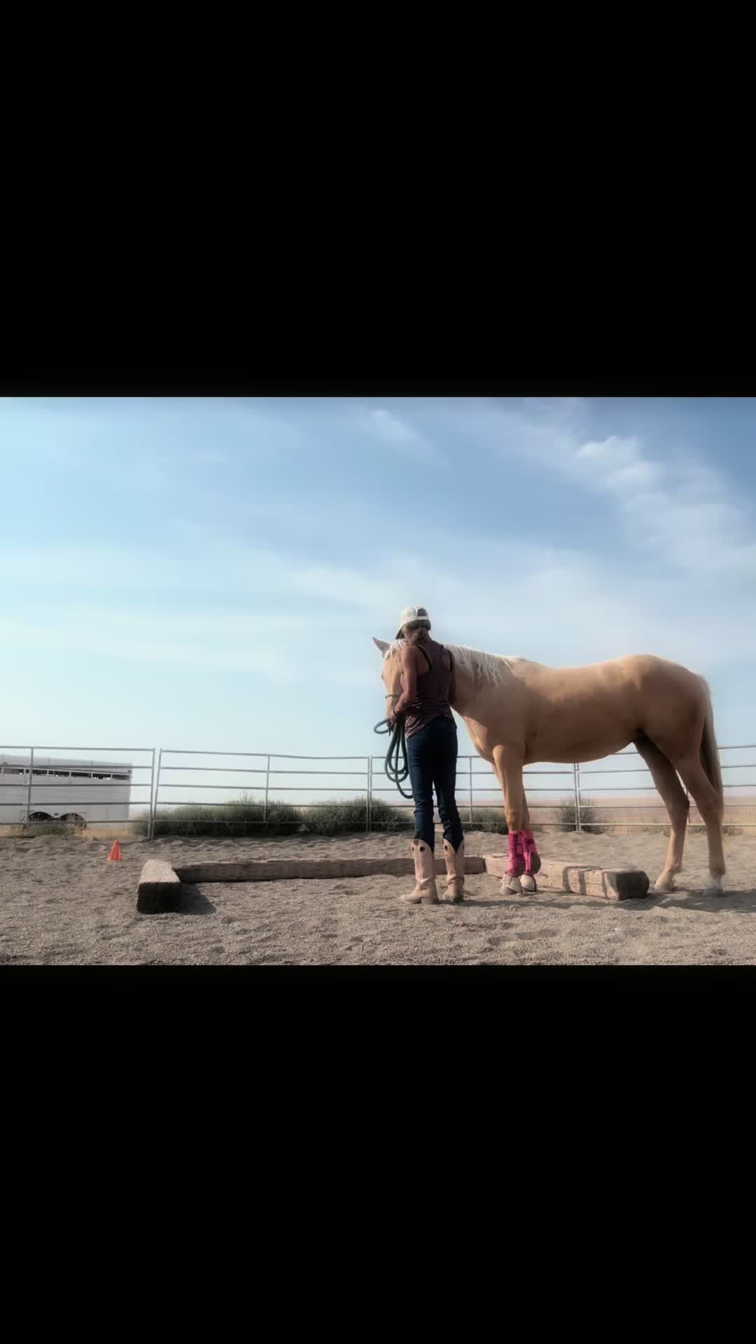 @Cowgirl Tuff Colt Training ❤️