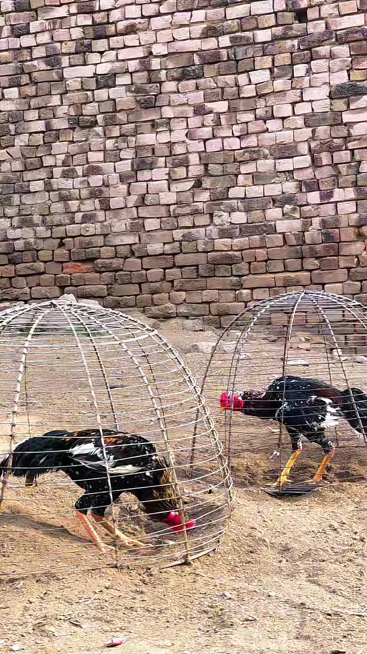 @𝐌𝐮𝐛𝐞𝐞𝐧 𝐓𝐚𝐫𝐢𝐪