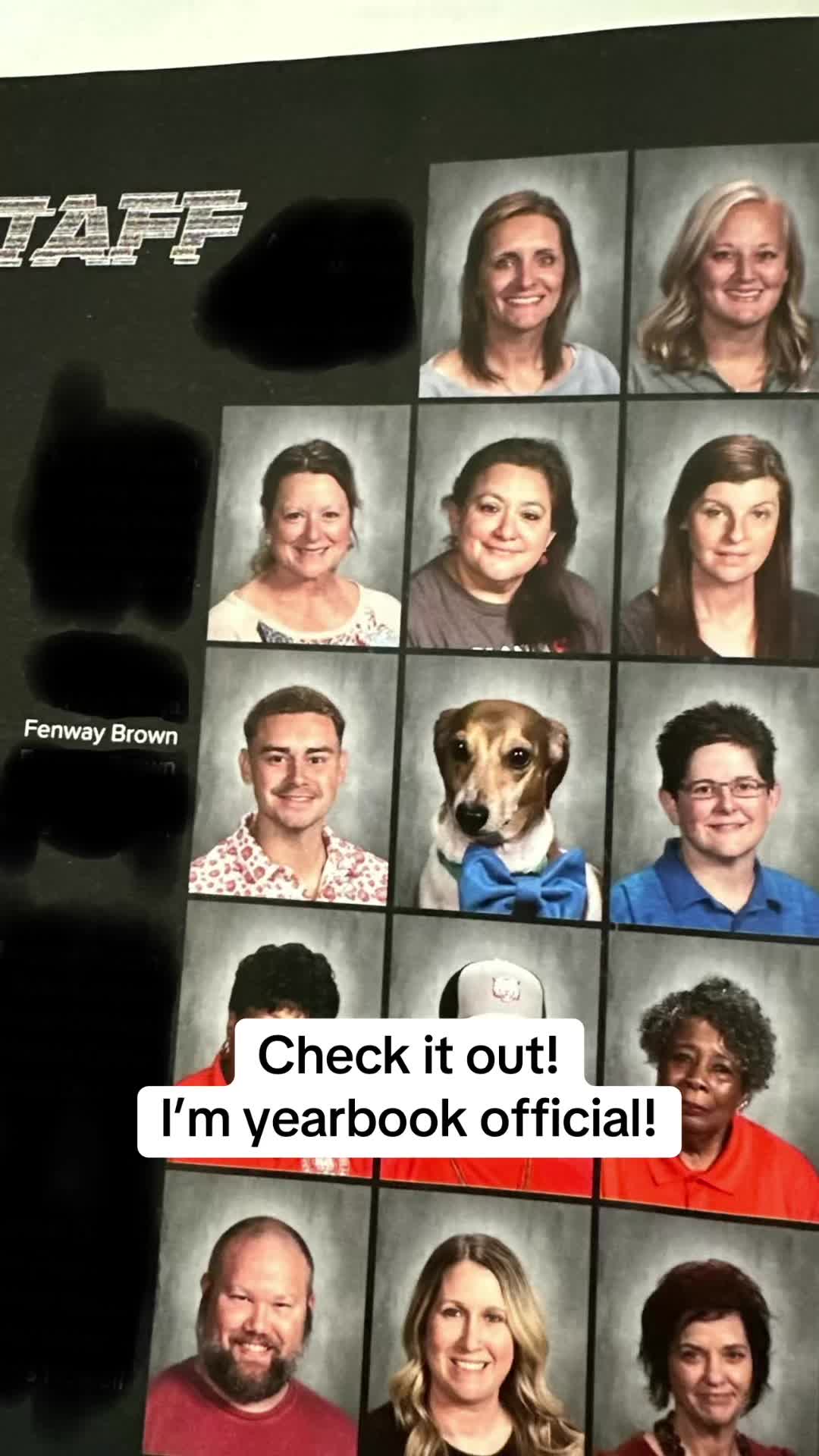 @@ballparkdoxies