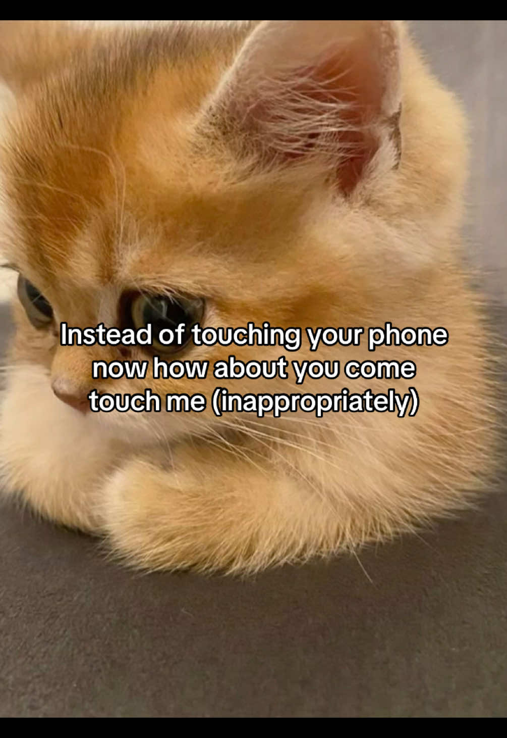 @Alice.cattok