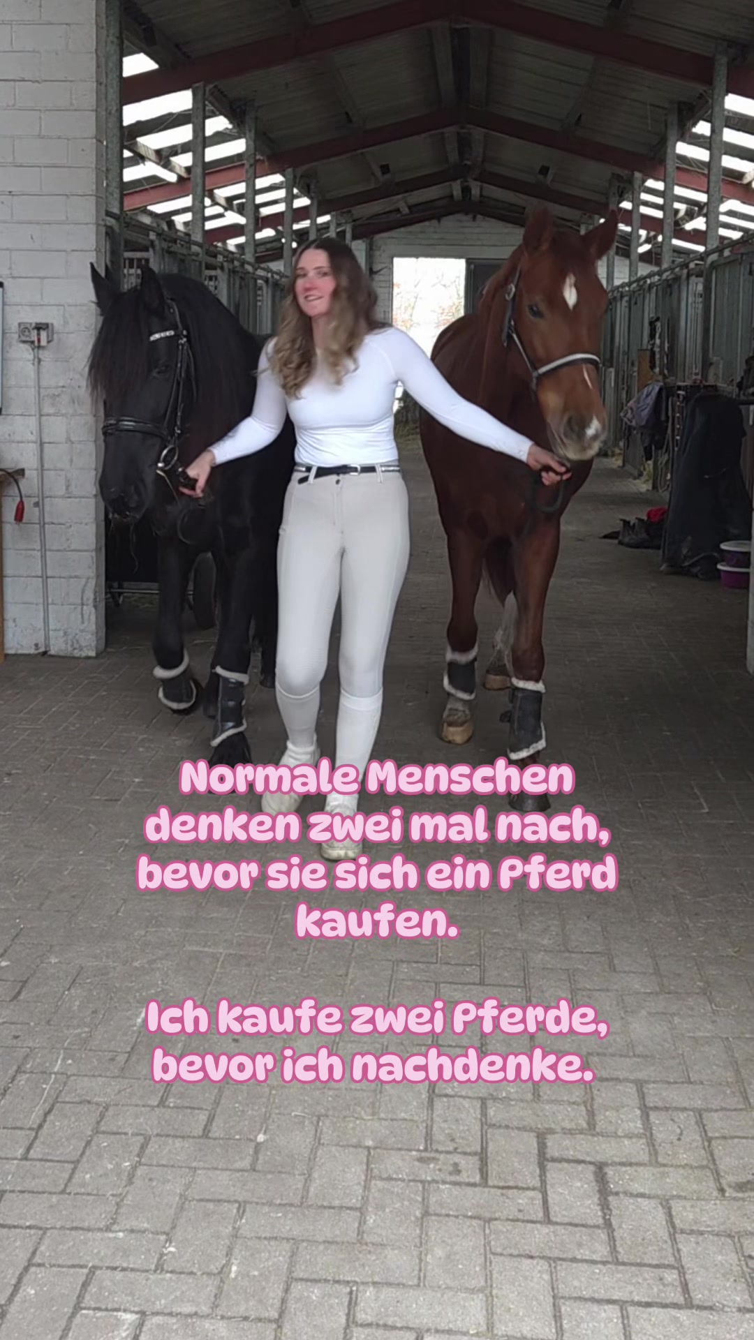 @Enja und die Pferde