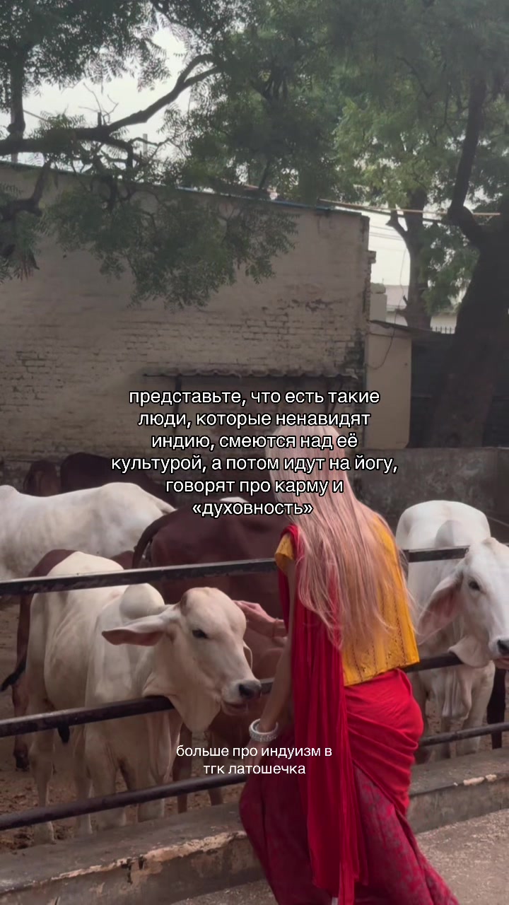 @тгк: латошечка