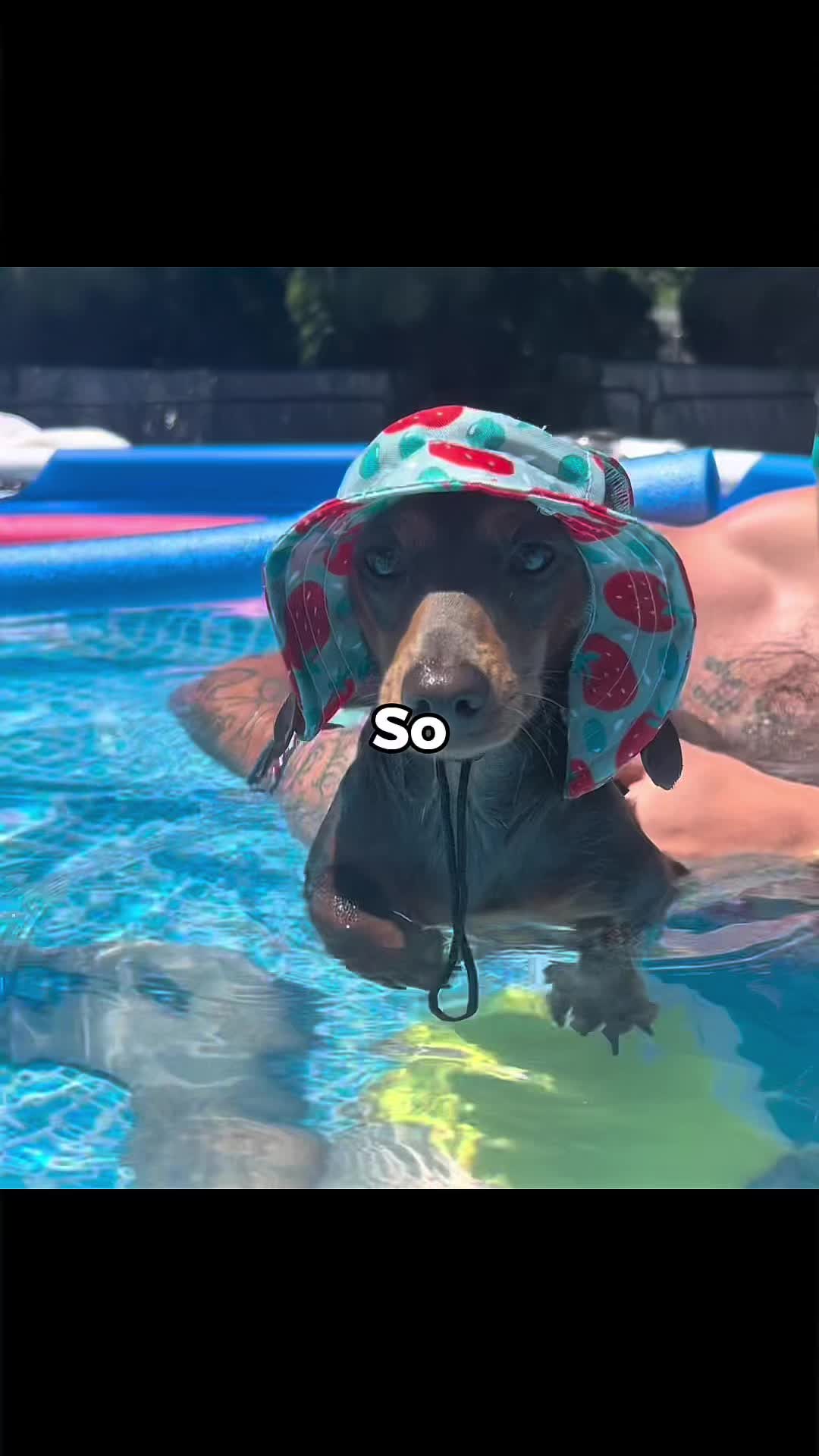 @Meat Sucks