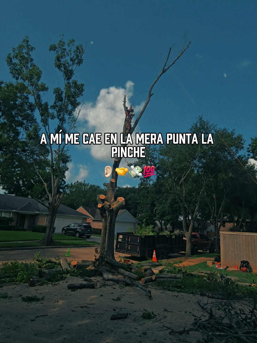 @GTS Galvan Tree Services LLC