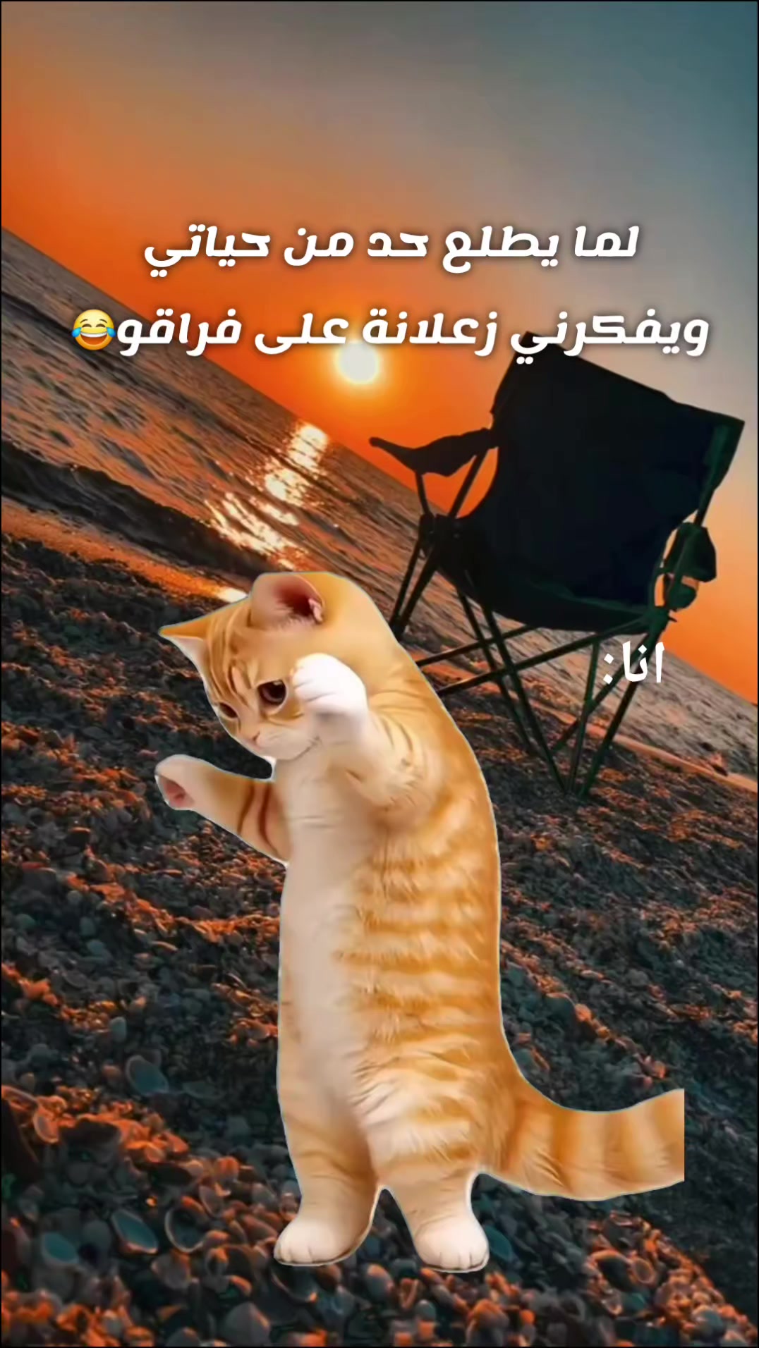 @๐ด๐๐๐๐ฅ
