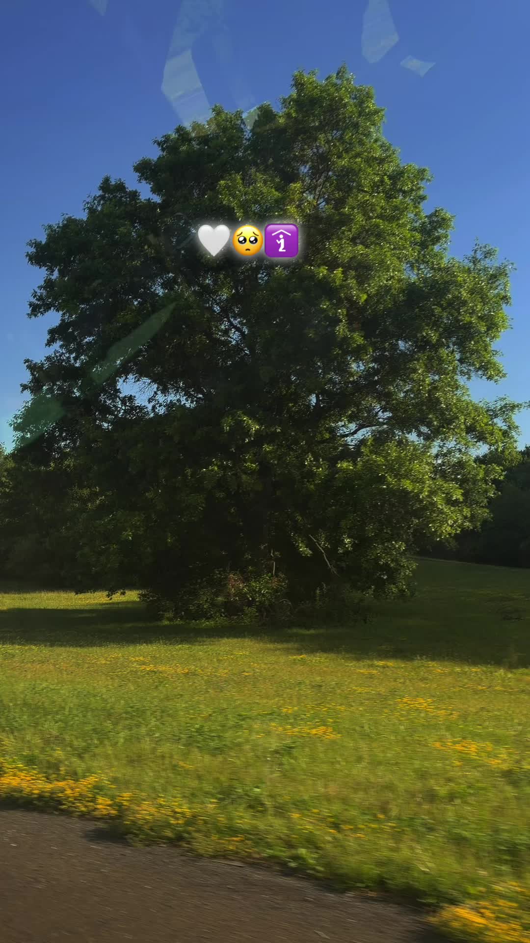 @LópezLusvinofficial😍🥷☆