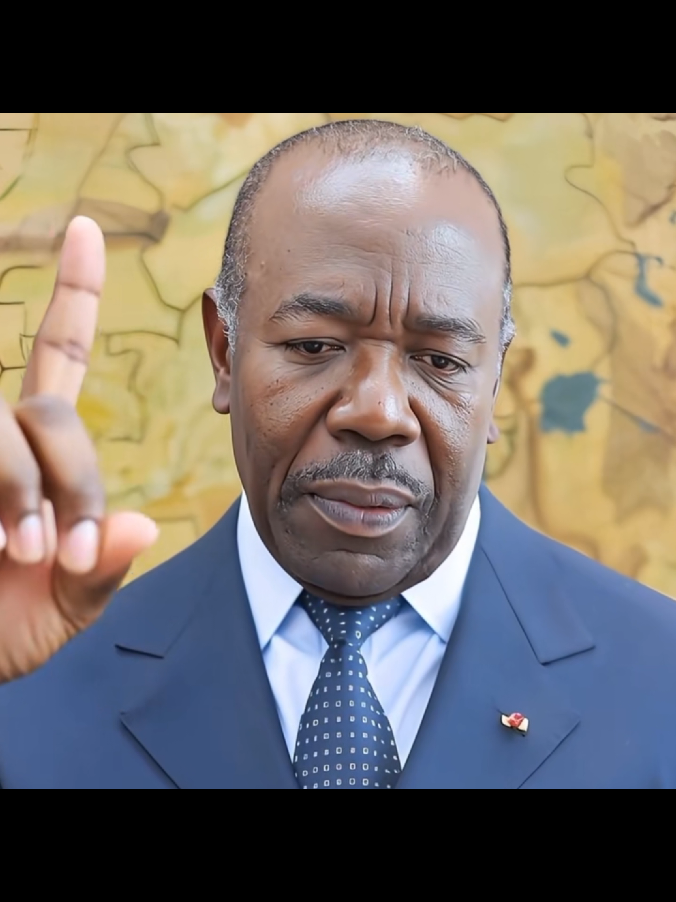 @241𝑪𝑼𝑻™