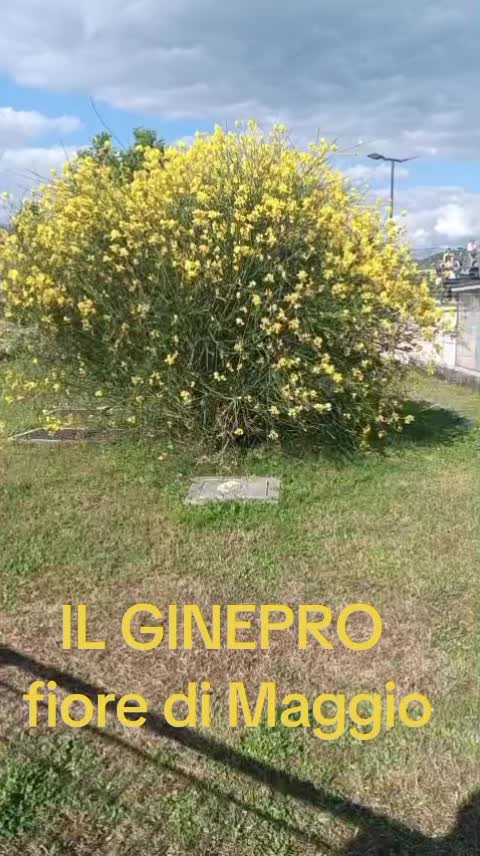 @Guglielmo