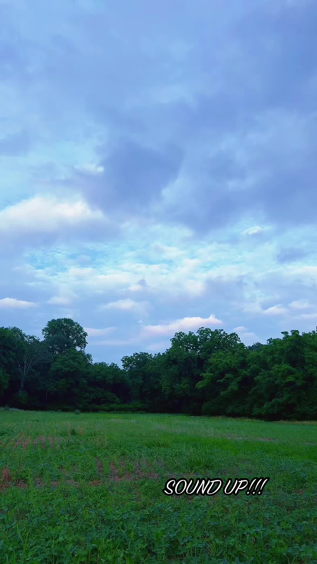 @Danigurl🦮🏇🌅🏳️&zwj;🌈