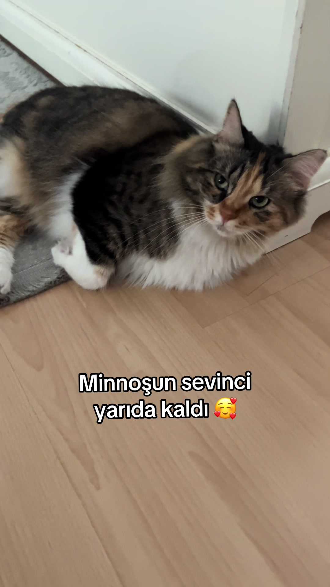 @konusankediminnos