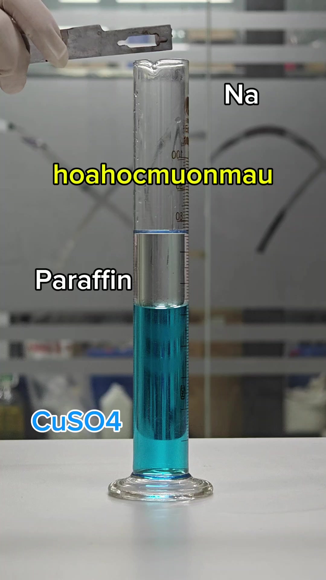 @hoahocmuonmau