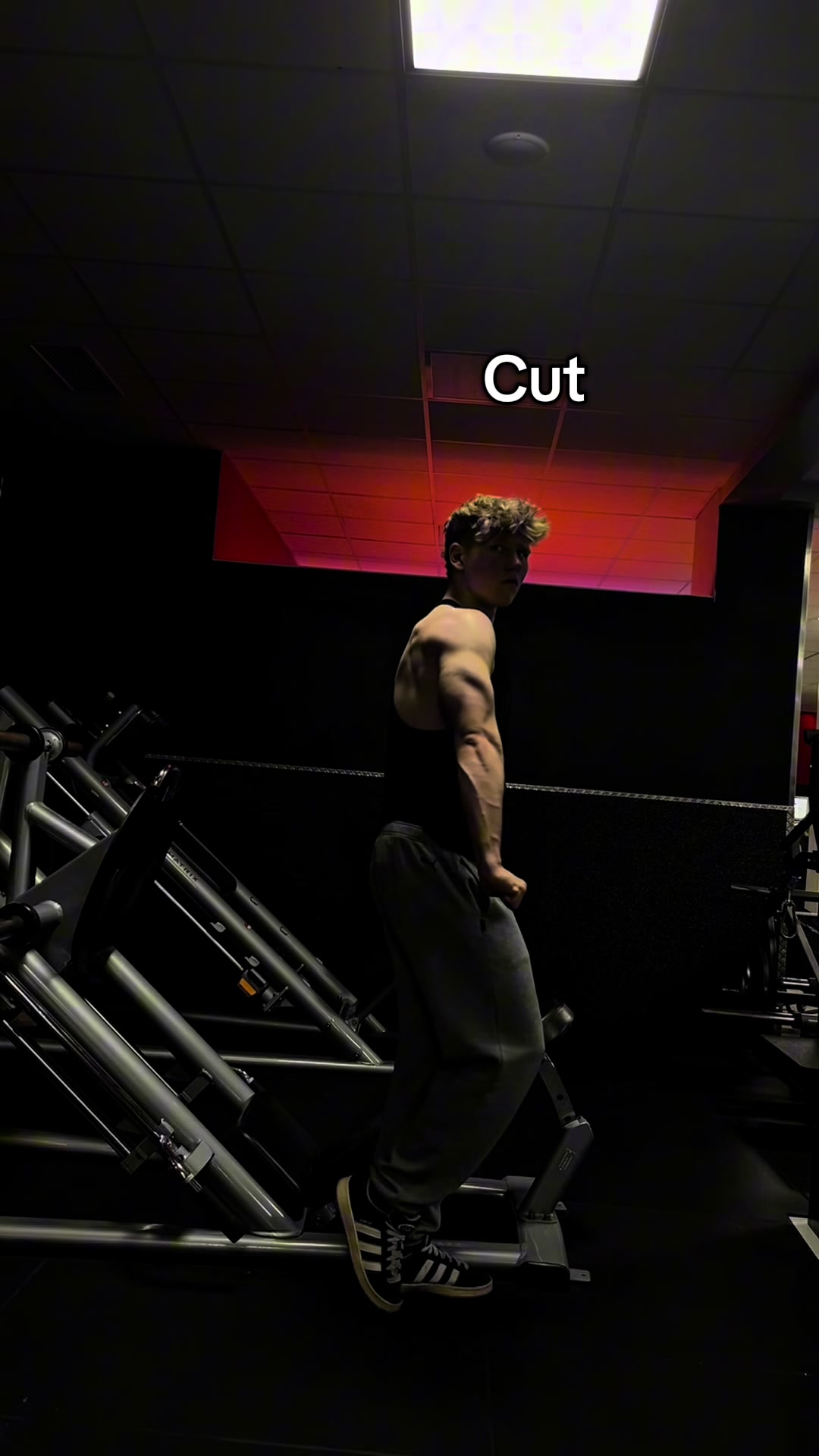 @Marv/Bodybuilding