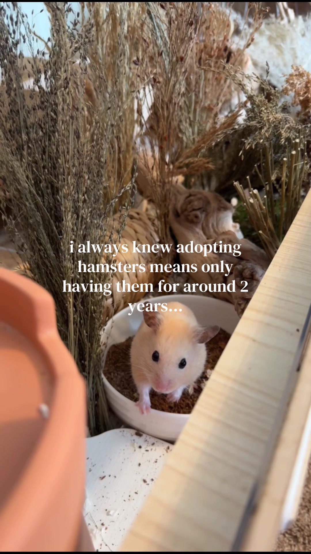 @alexa🤍🐾