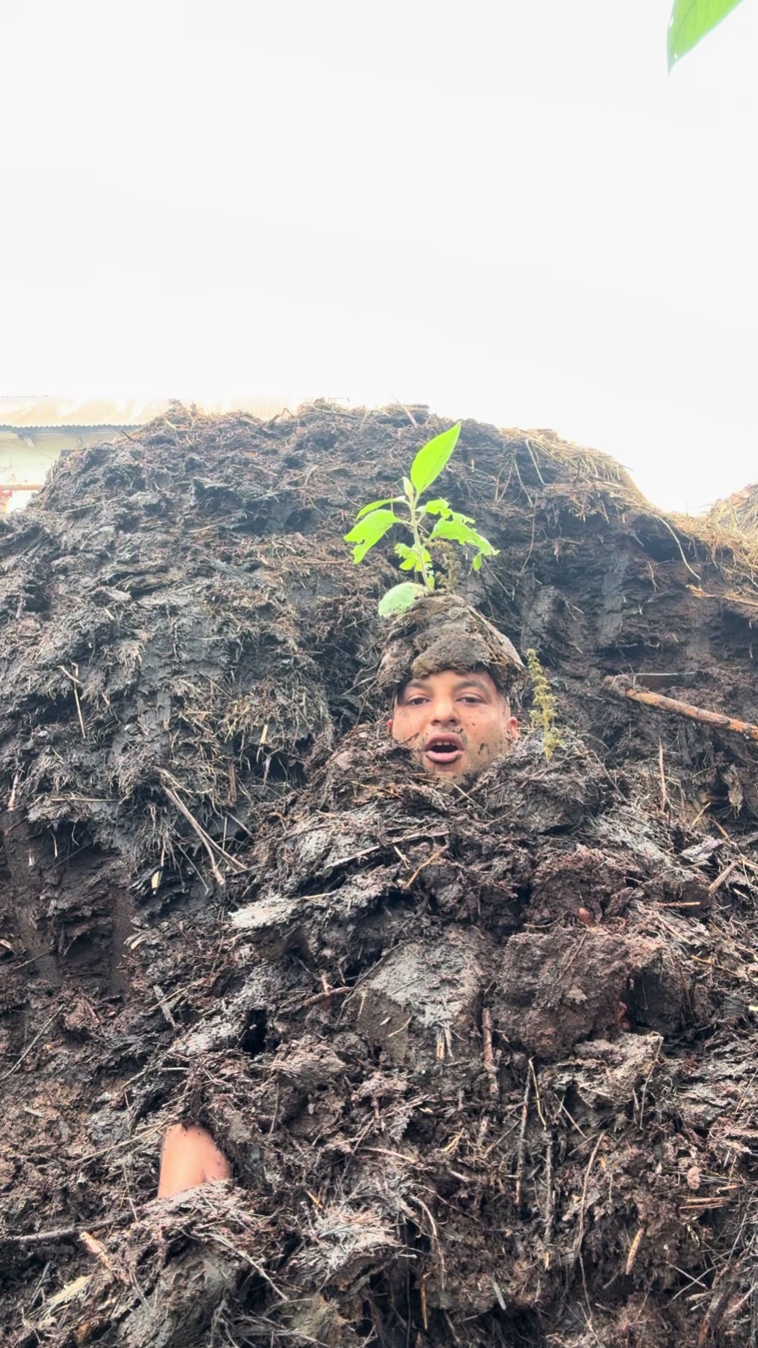 @pawan mainali