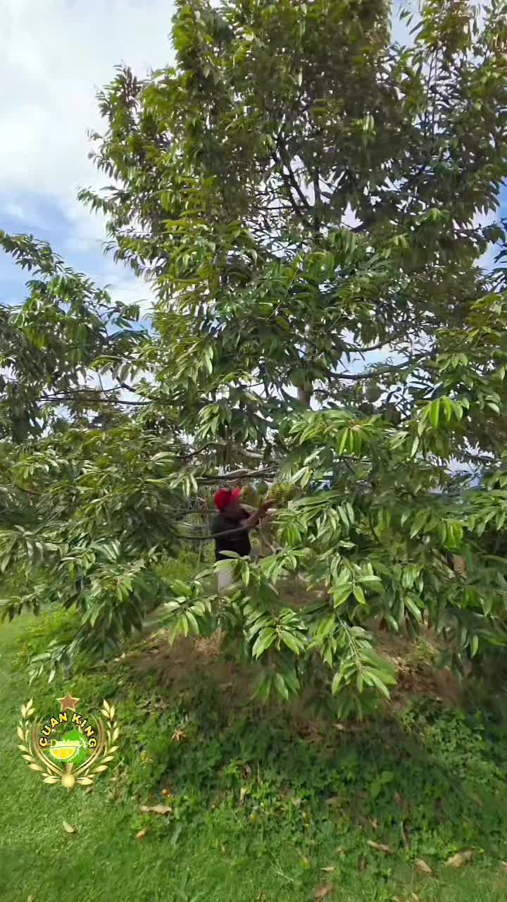 @WIN 22