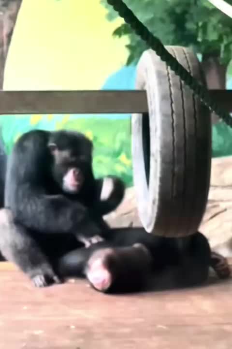 @Funny