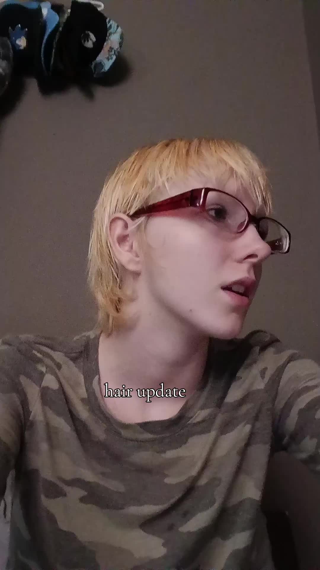 @koolkat