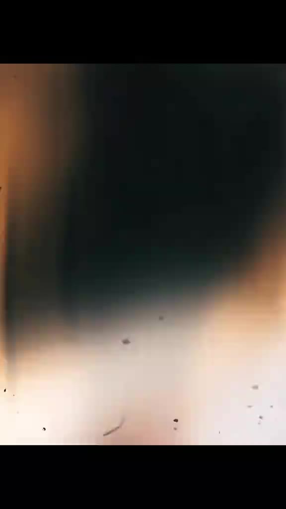 @PARANOIK