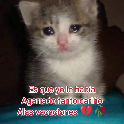 @Eimy Zambrano