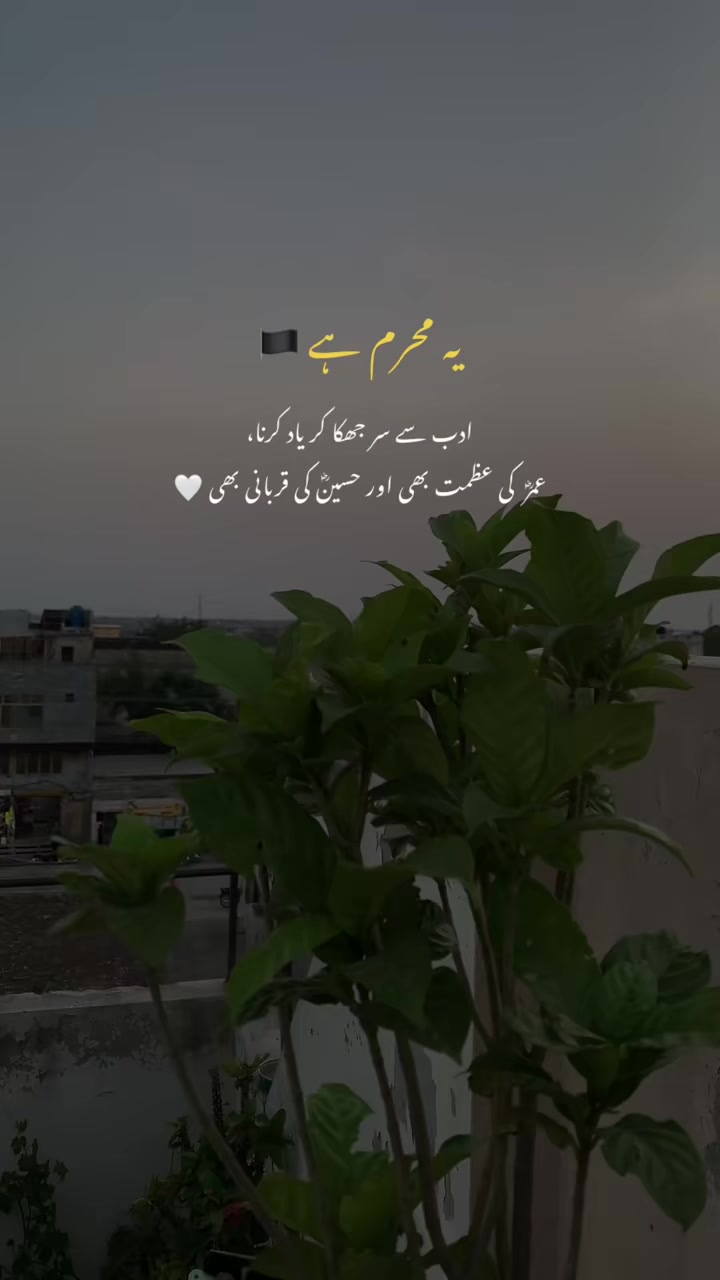 @ALi RaZa