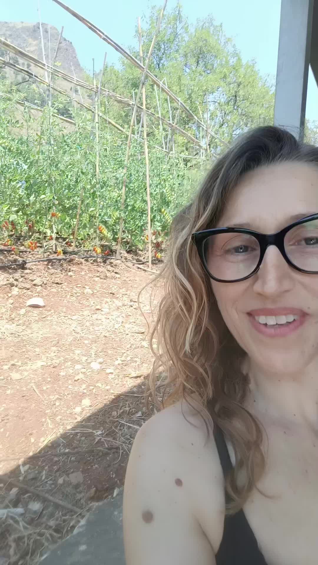 @VALY