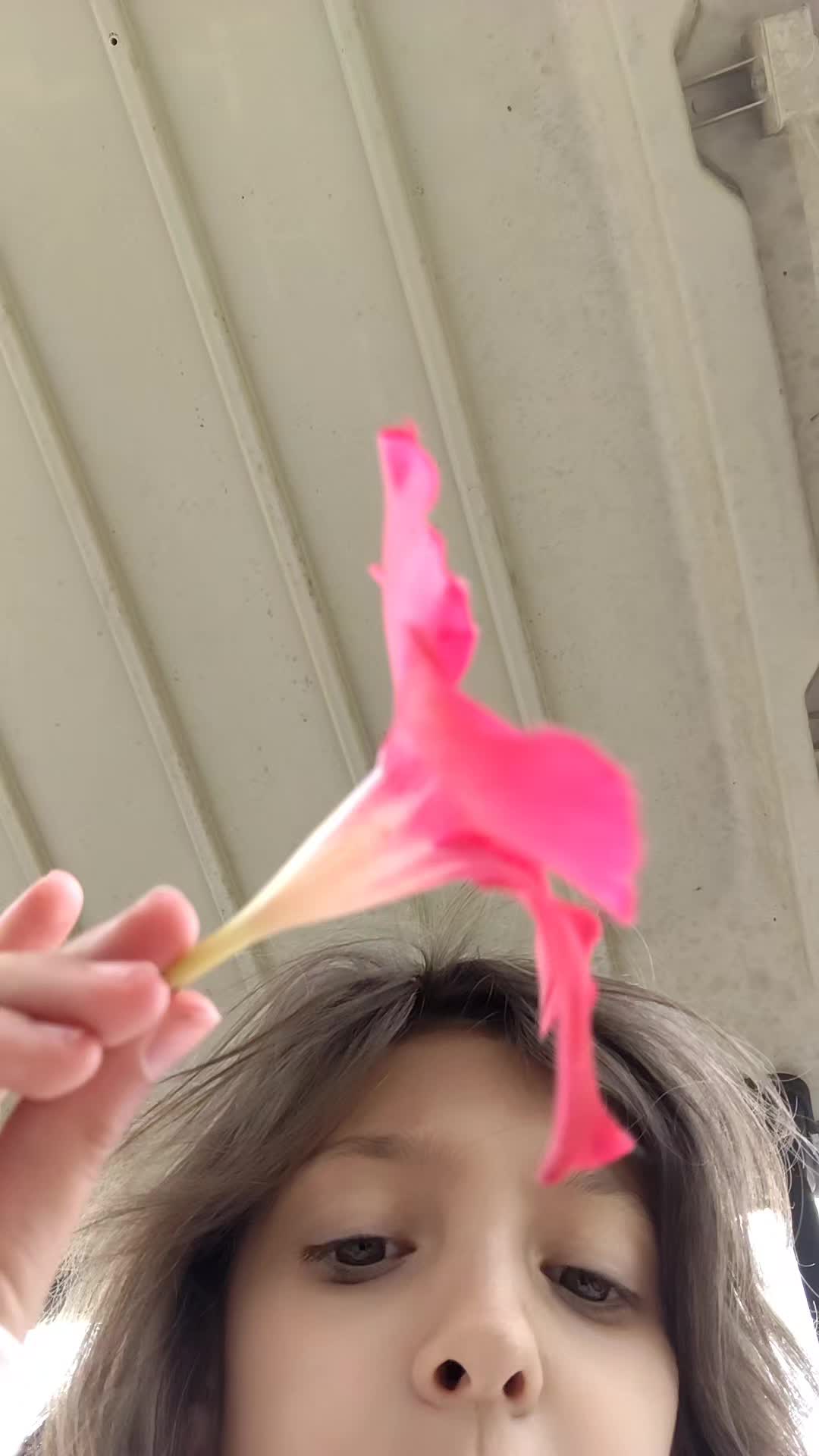 @user30352864495