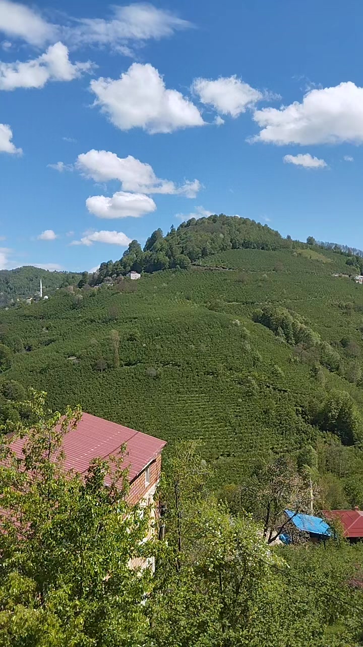 @YoNcA🍀🍀🍀